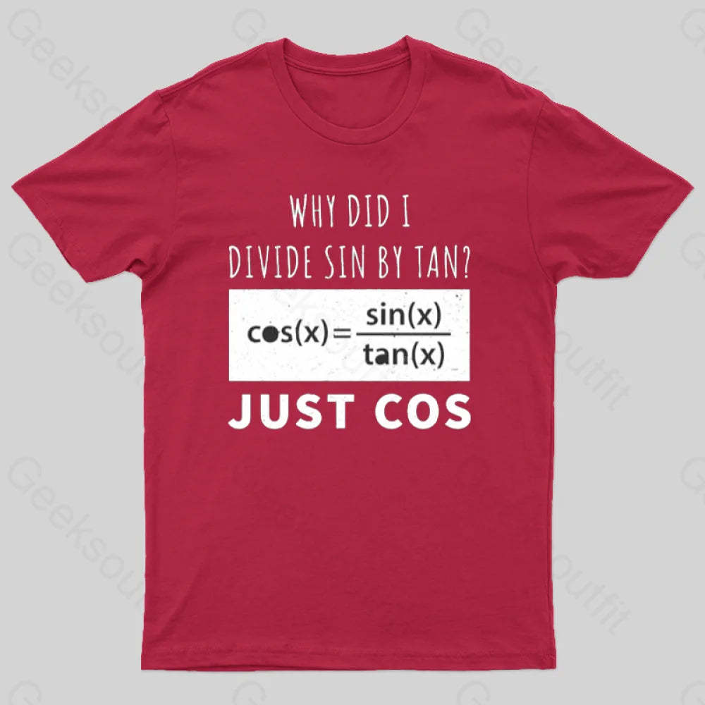 Why Did I Divide Sin By Tan T-Shirt Red / S