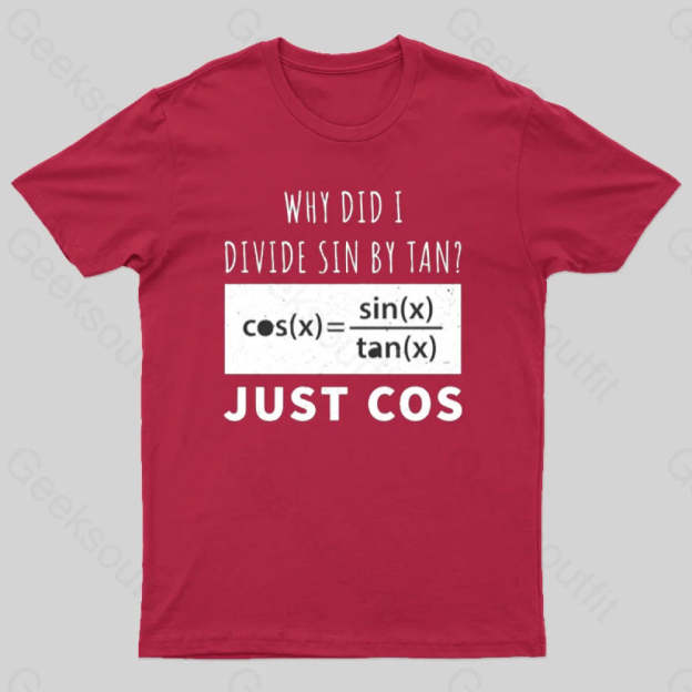 Why Did I Divide Sin By Tan T-Shirt Red / S