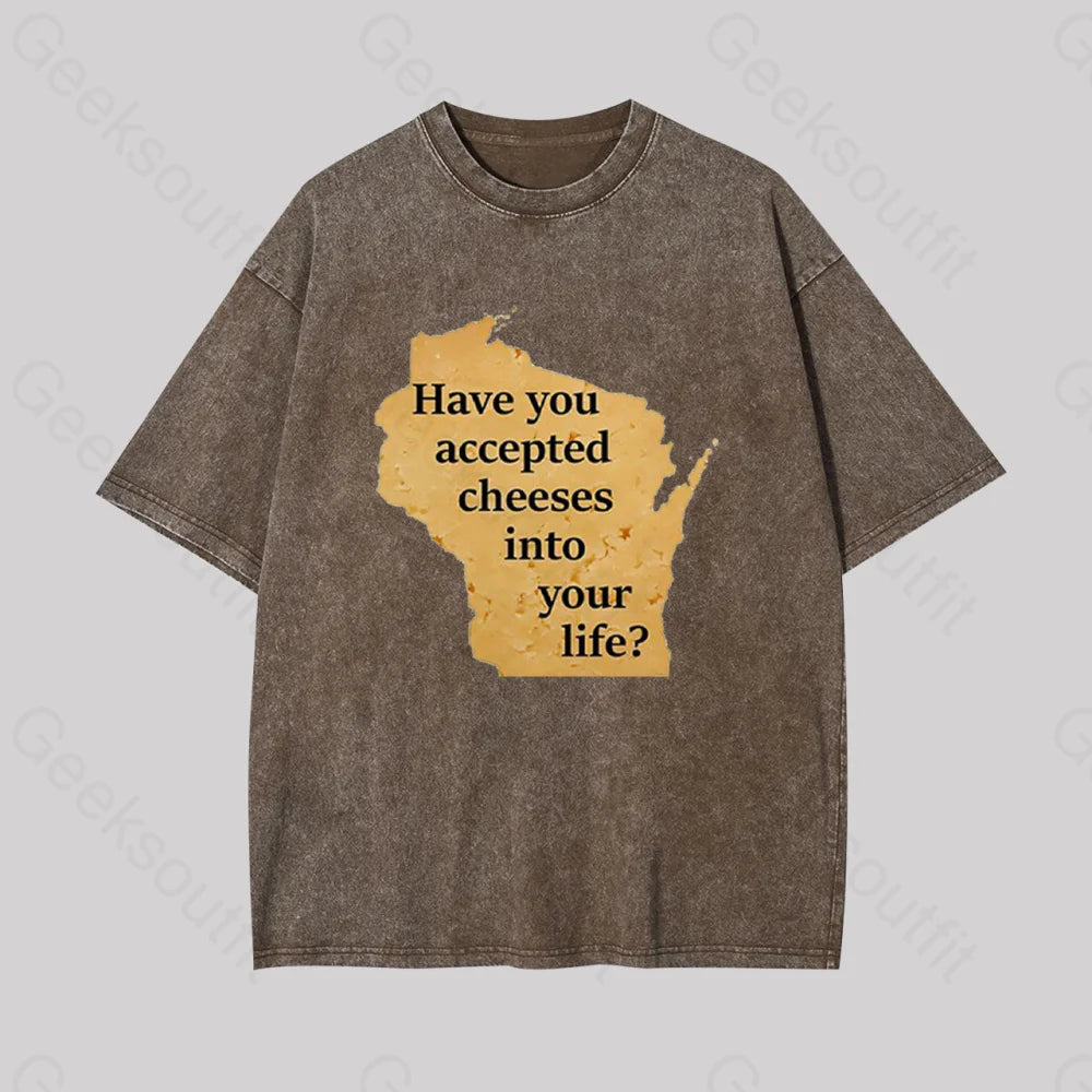 Wisconsin Cheese Pun Geek Washed T-Shirt Coffee / S