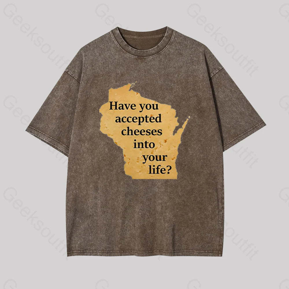 Wisconsin Cheese Pun Geek Washed T-Shirt Coffee / S
