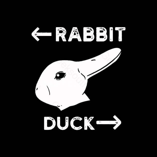 Wittgensteins Rabbit Duck Illusion Geek T-Shirt