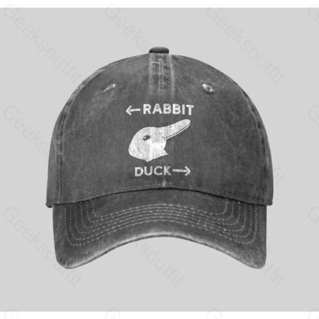 Wittgensteins Rabbit Duck Illusion Washed Vintage Baseball Cap Grey