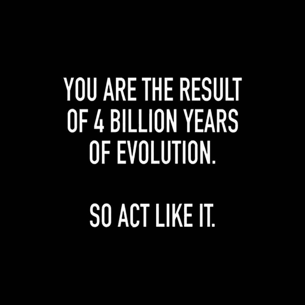 You Are The Result Of 4 Billion Years Evolution Geek T-Shirt