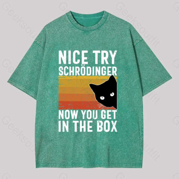 You Get Schrodinger?��s Cat In The Box Washed T-Shirt Grass Green / S