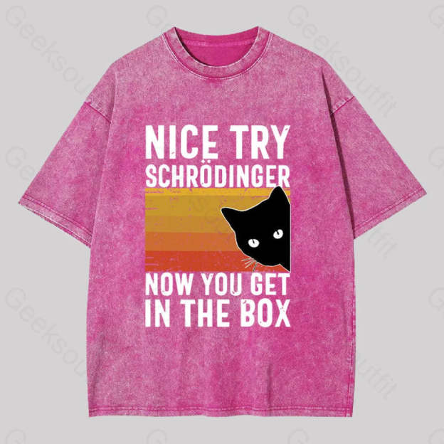 You Get Schrodinger?��s Cat In The Box Washed T-Shirt Rose Red / S