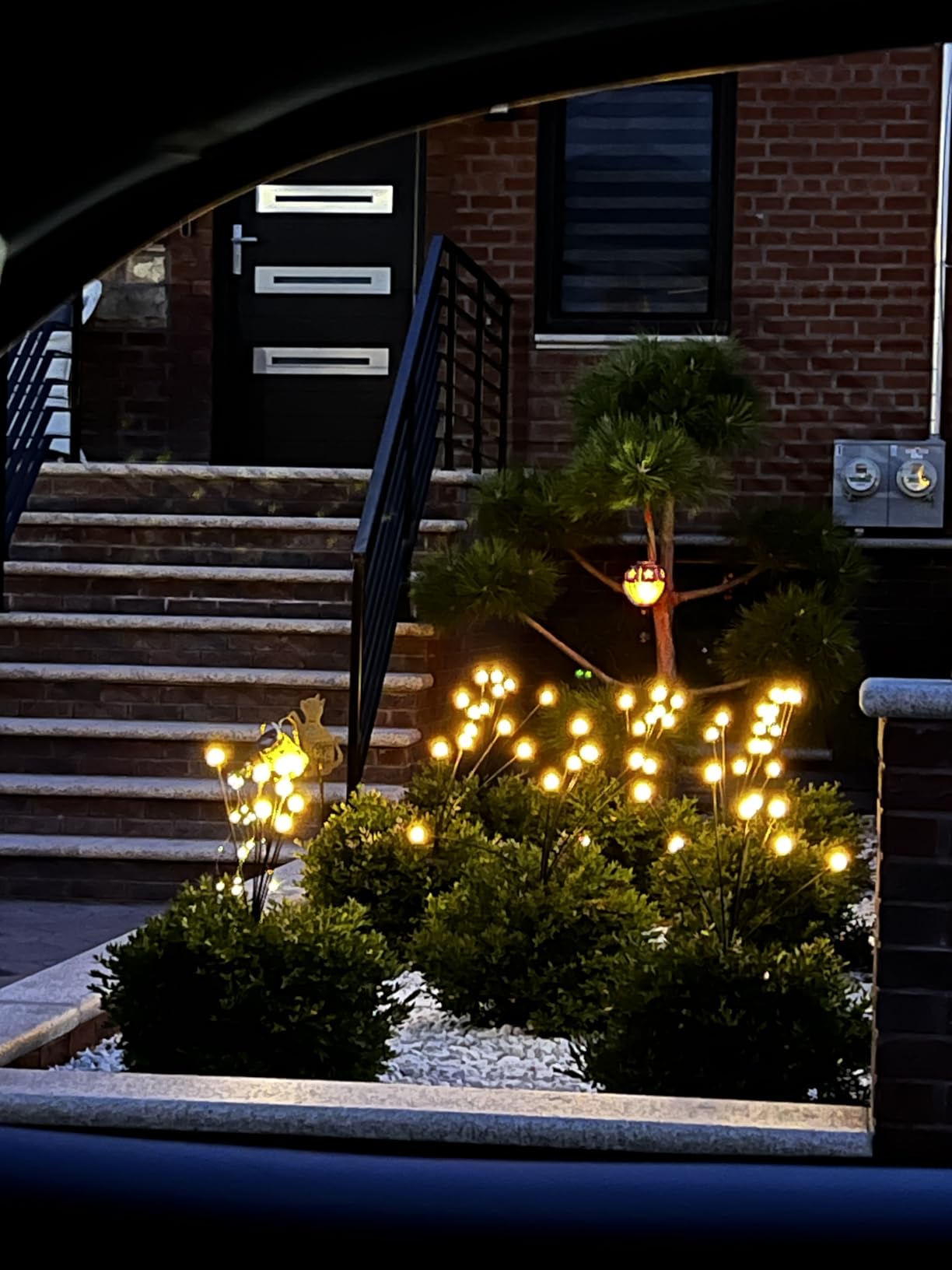 A bit of magic for your garden