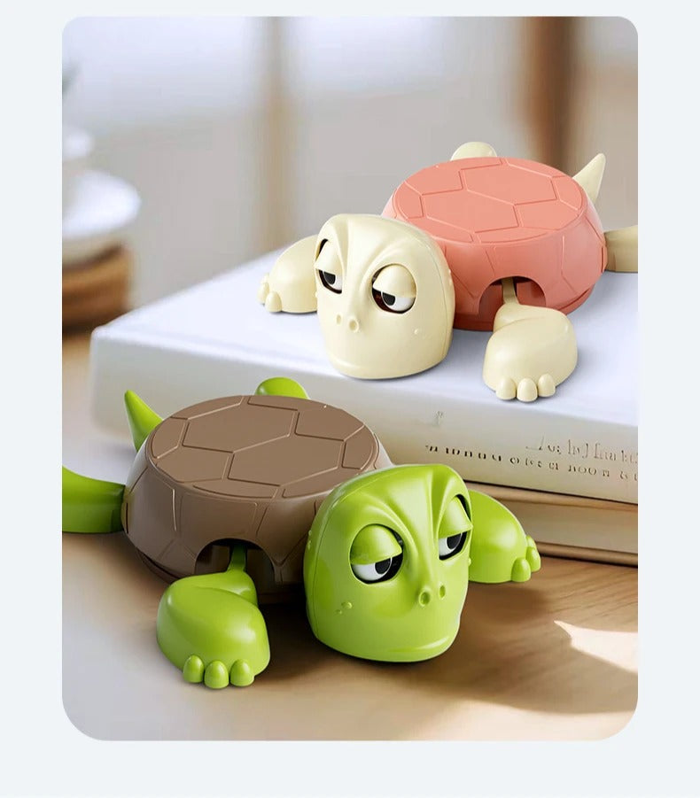 Wacky Turtle Coaster