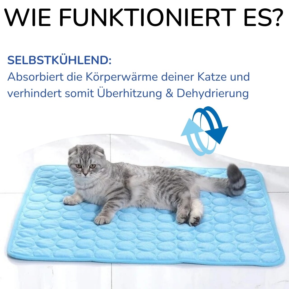 KITTINIS™️ - CoolCat® V.4 - Premium Kühlmatte mit Eisseide