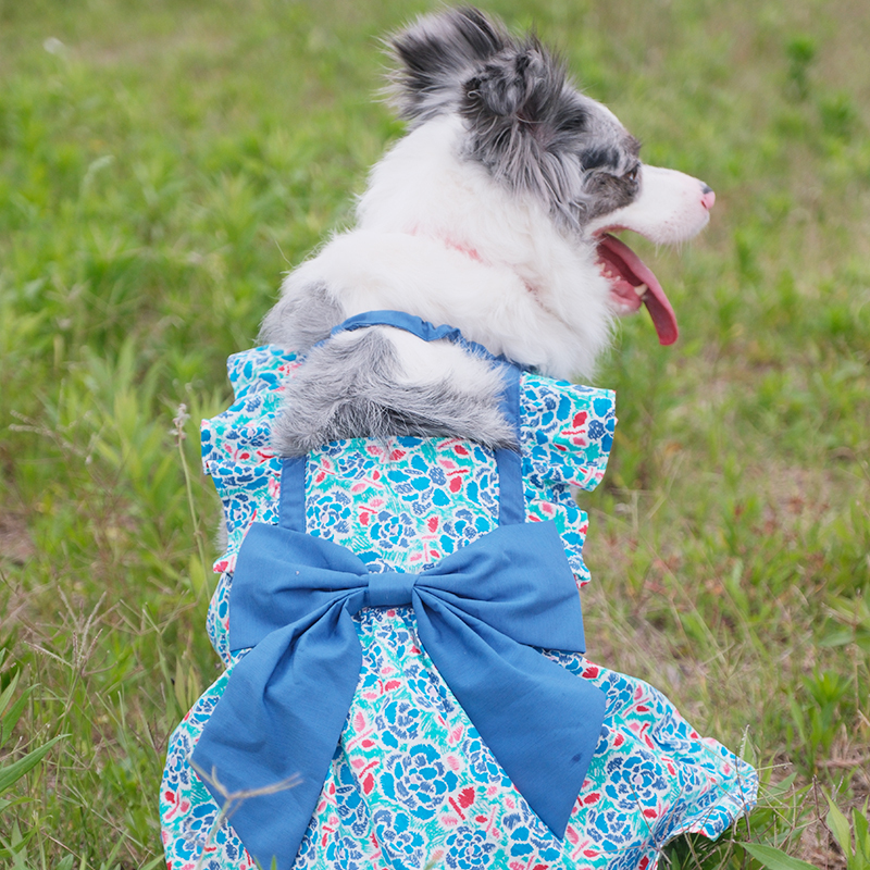 Dog Dress