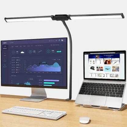 Double-headed Desk Lamp