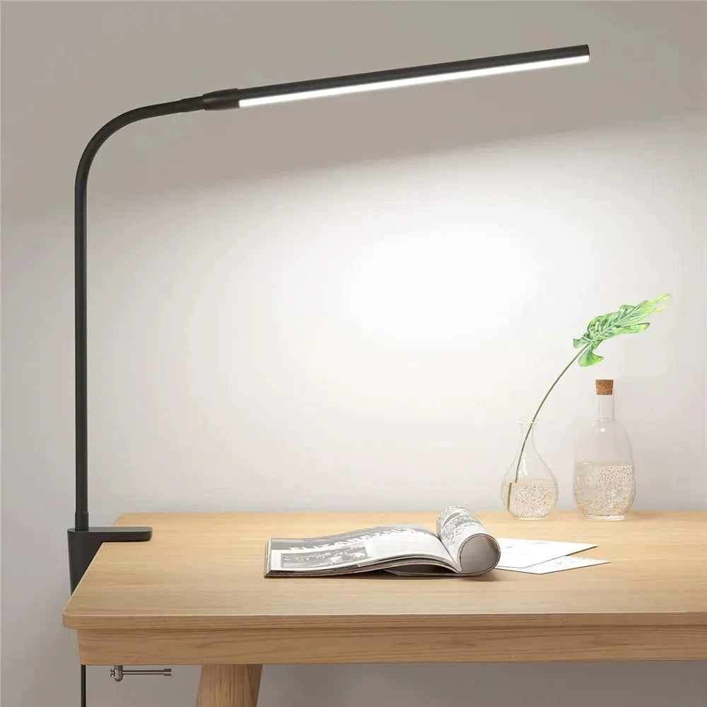 Double-headed Desk Lamp