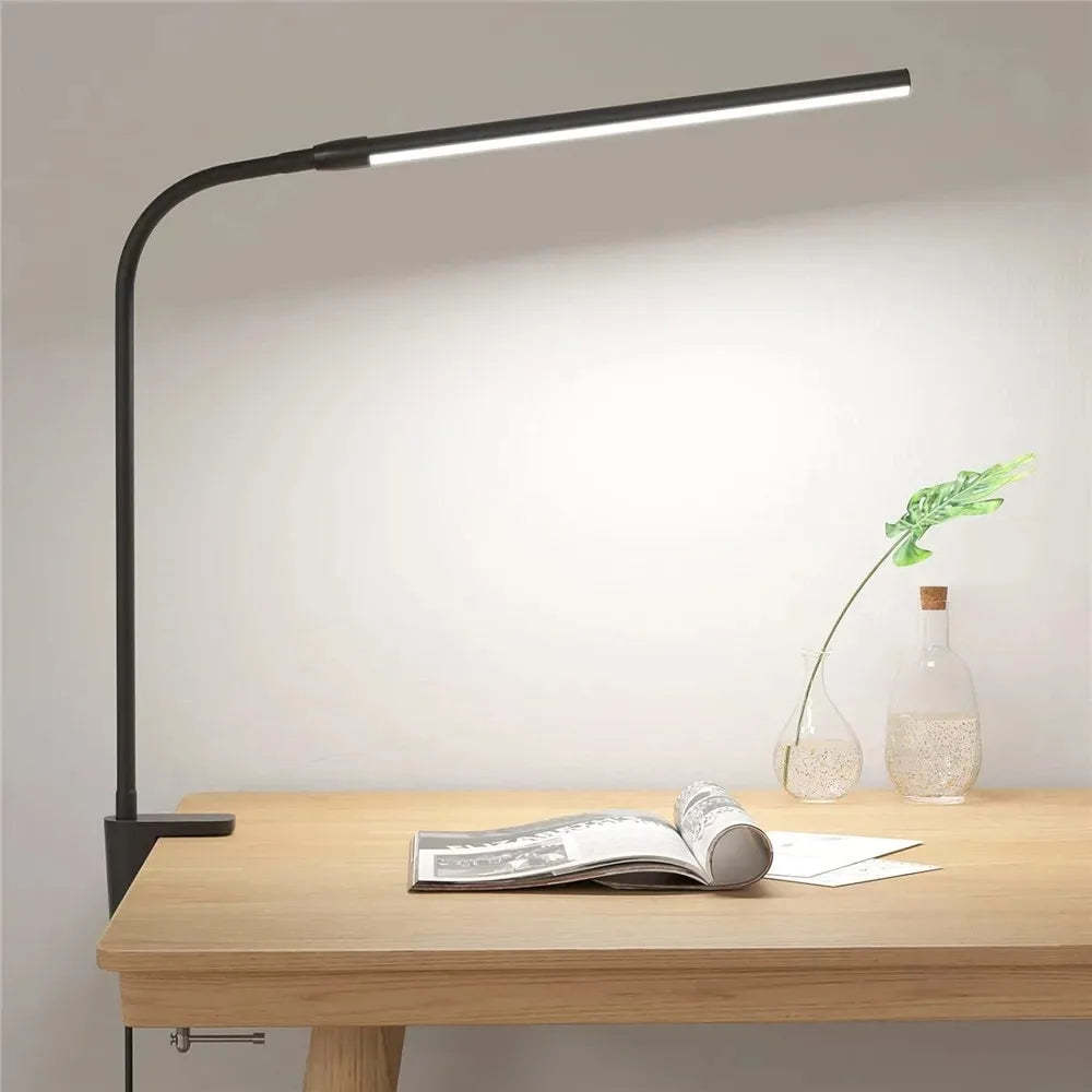 Double-headed Desk Lamp