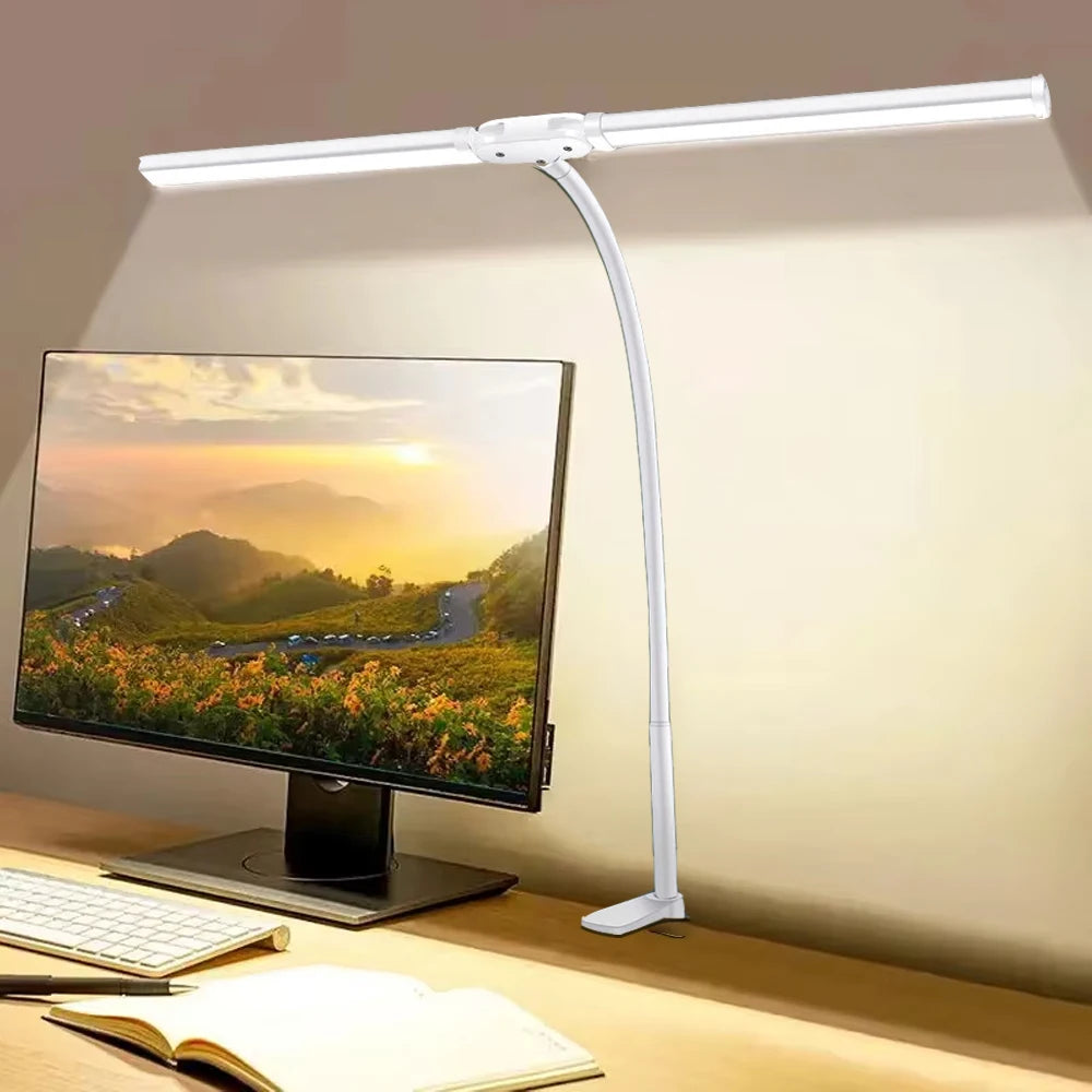 Double-headed Desk Lamp