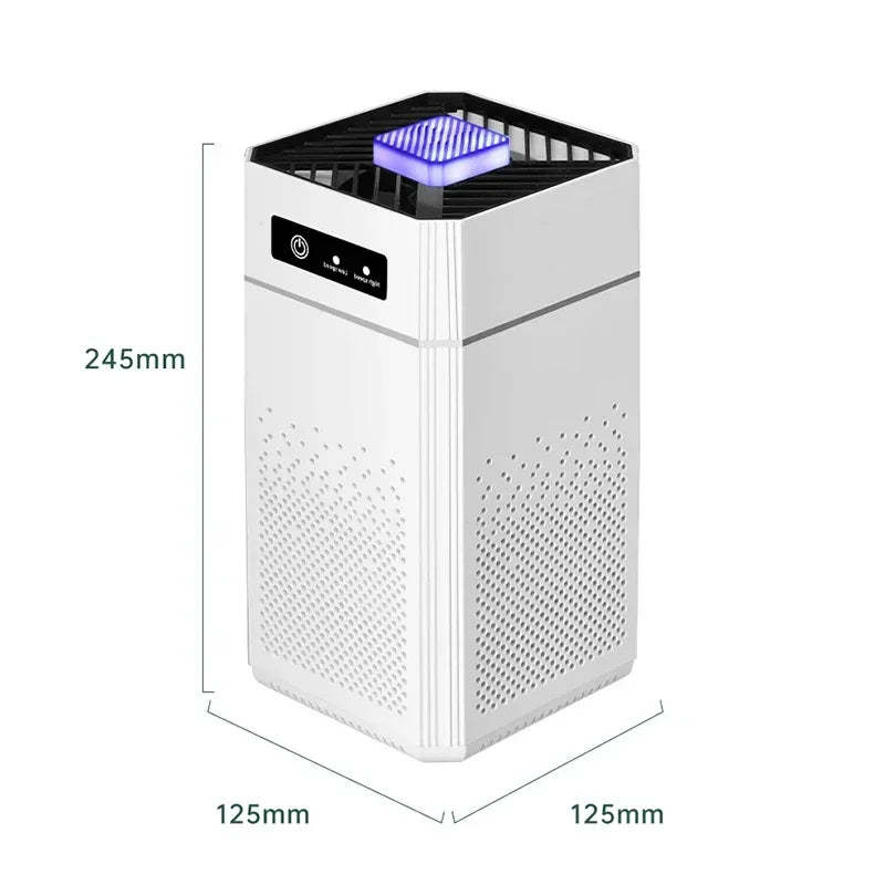 Negative Ion Air Purifier With Replaceable HEPA Filter