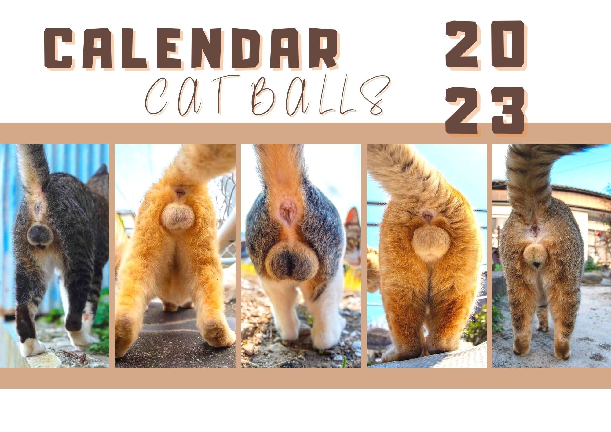 🤣2023 Funny Gift Cats Buttholes Calendar