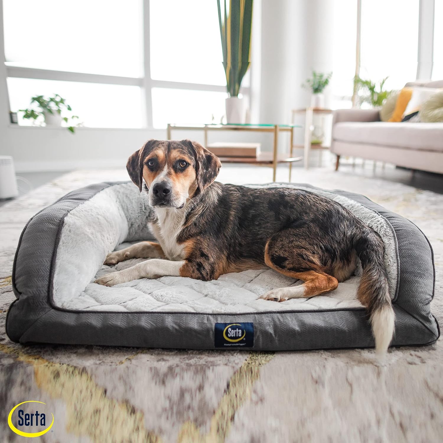 💝𝐐𝐕𝐂 𝐃𝐞𝐚𝐥𝐬 𝐨𝐧 𝐭𝐡𝐞 𝐃𝐚𝐢𝐥𝐲✨Serta Gel Memory Foam Quilted Ortho Couch Dog Bed