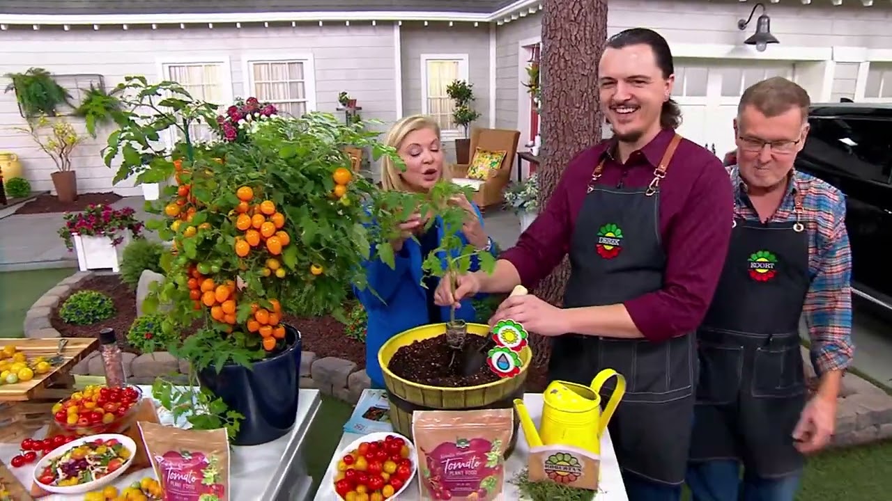 Roberta's 6-piece Red & Yellow Patio Choice Cherry Tomatoes on QVC