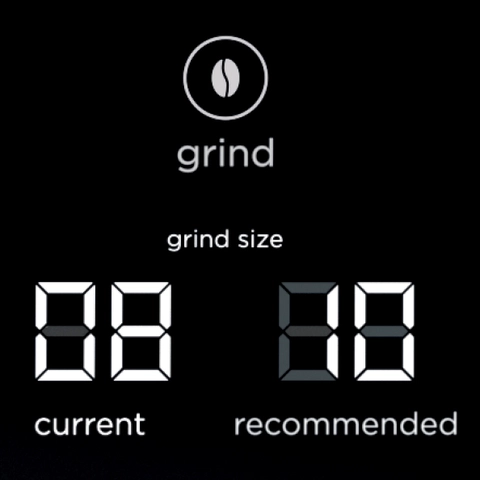 Grind size recommendations