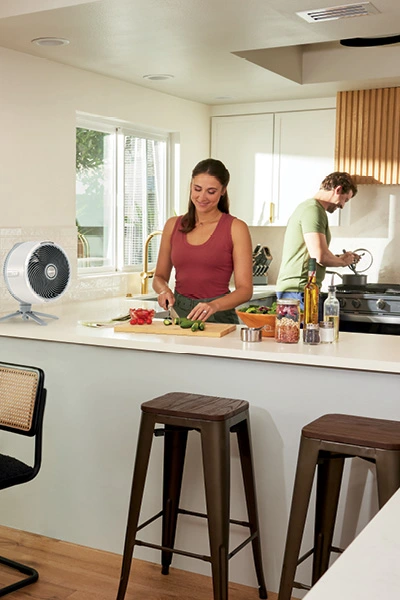 With minimalist styling and ultraquiet performance, you’ve got the perfect indoor companion.