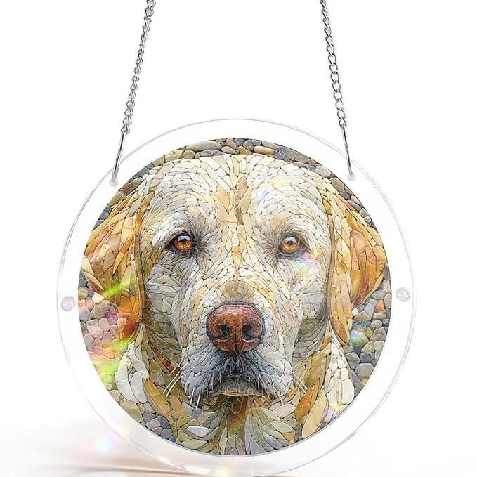 🔥☀️🛍️Ακρυλικό παζλ Suncatcher 80 τεμαχίων