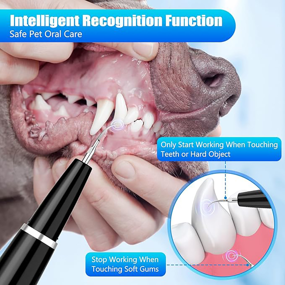 The Complete 3-Step Dog Dental System
