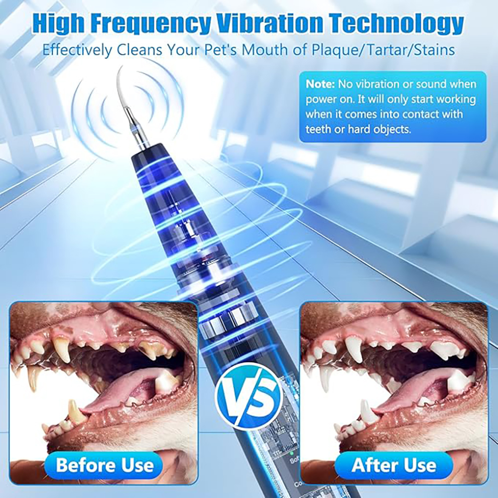 The Complete 3-Step Dog Dental System
