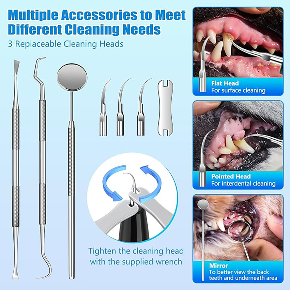 The Complete 3-Step Dog Dental System