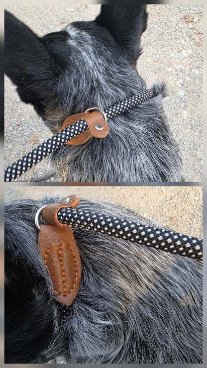 No Pull - Slip Lead Dog Training Leash