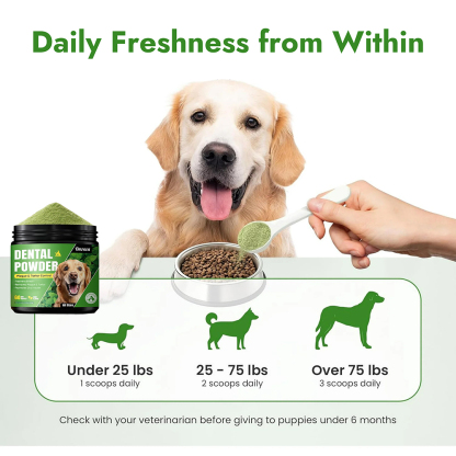 The Complete 3-Step Dog Dental System