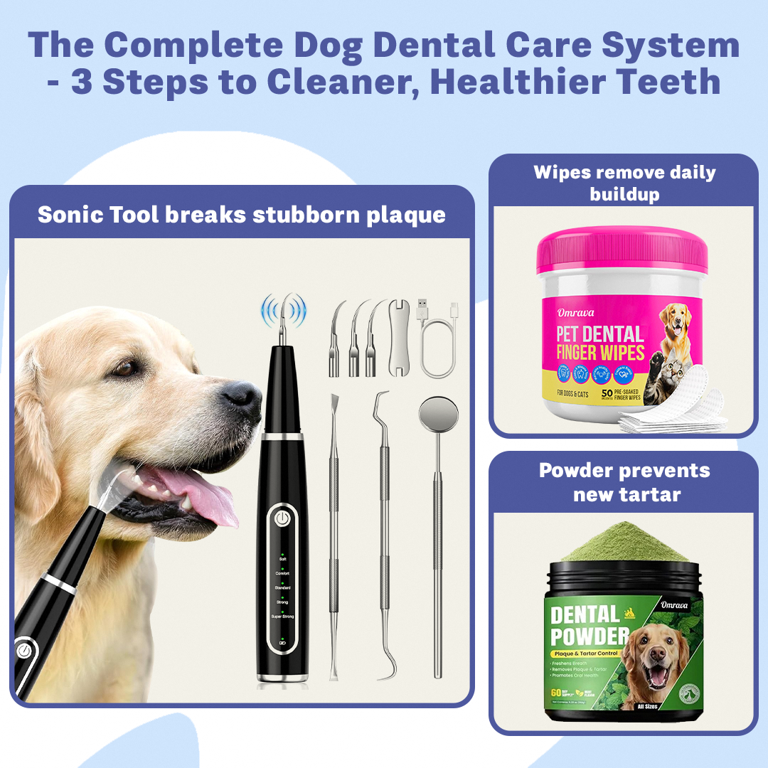 The Complete 3-Step Dog Dental System