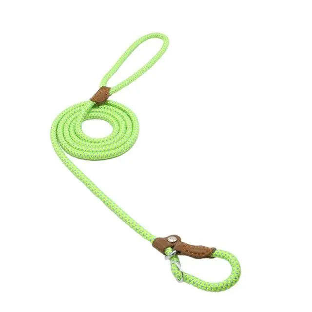 No Pull - Slip Lead Dog Training Leash