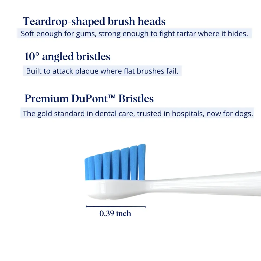 Canivet Kit - Silent Sonic Plaque & Tartar Remover for dogs