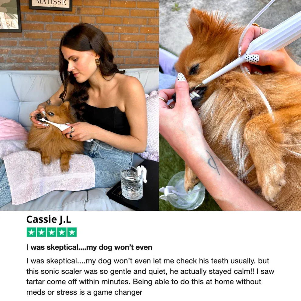 Canivet Kit - Silent Sonic Plaque & Tartar Remover for dogs