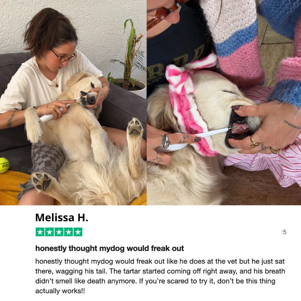 Canivet Kit - Silent Sonic Plaque & Tartar Remover for dogs