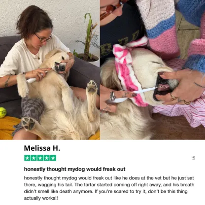 Canivet Kit - Silent Sonic Plaque & Tartar Remover for dogs