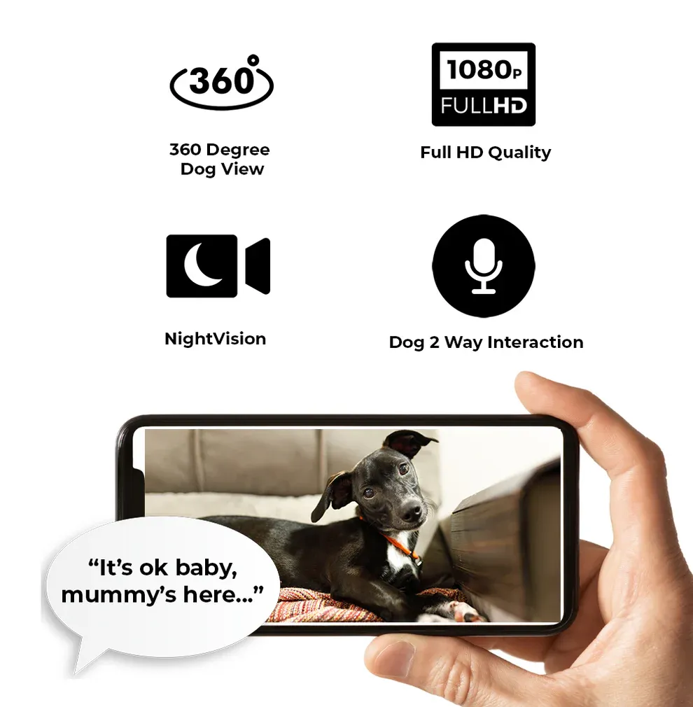 Never Worry About Your Dog Home Alone Ever Again...