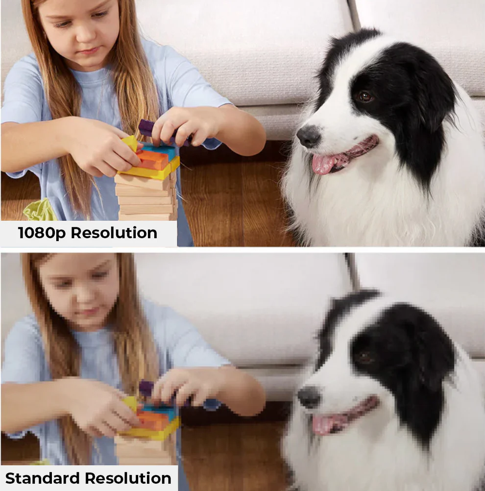 Never Worry About Your Dog Home Alone Ever Again...