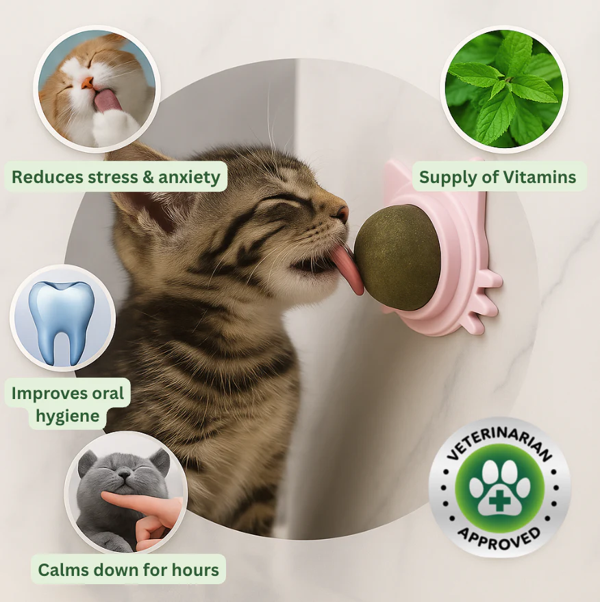 Kitty Therapy Ball™