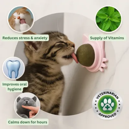 Kitty Therapy Ball™