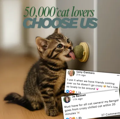 Kitty Therapy Ball™