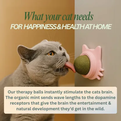 Kitty Therapy Ball™