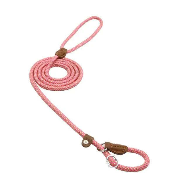 No Pull - Slip Lead Dog Training Leash