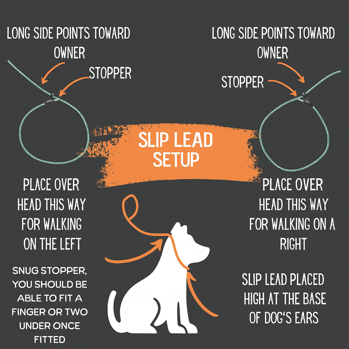 No Pull - Slip Lead Dog Training Leash