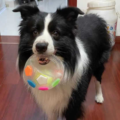 Omrava™ Durable Soccer Toy – Bouncy, Bite-Resistant & Fun