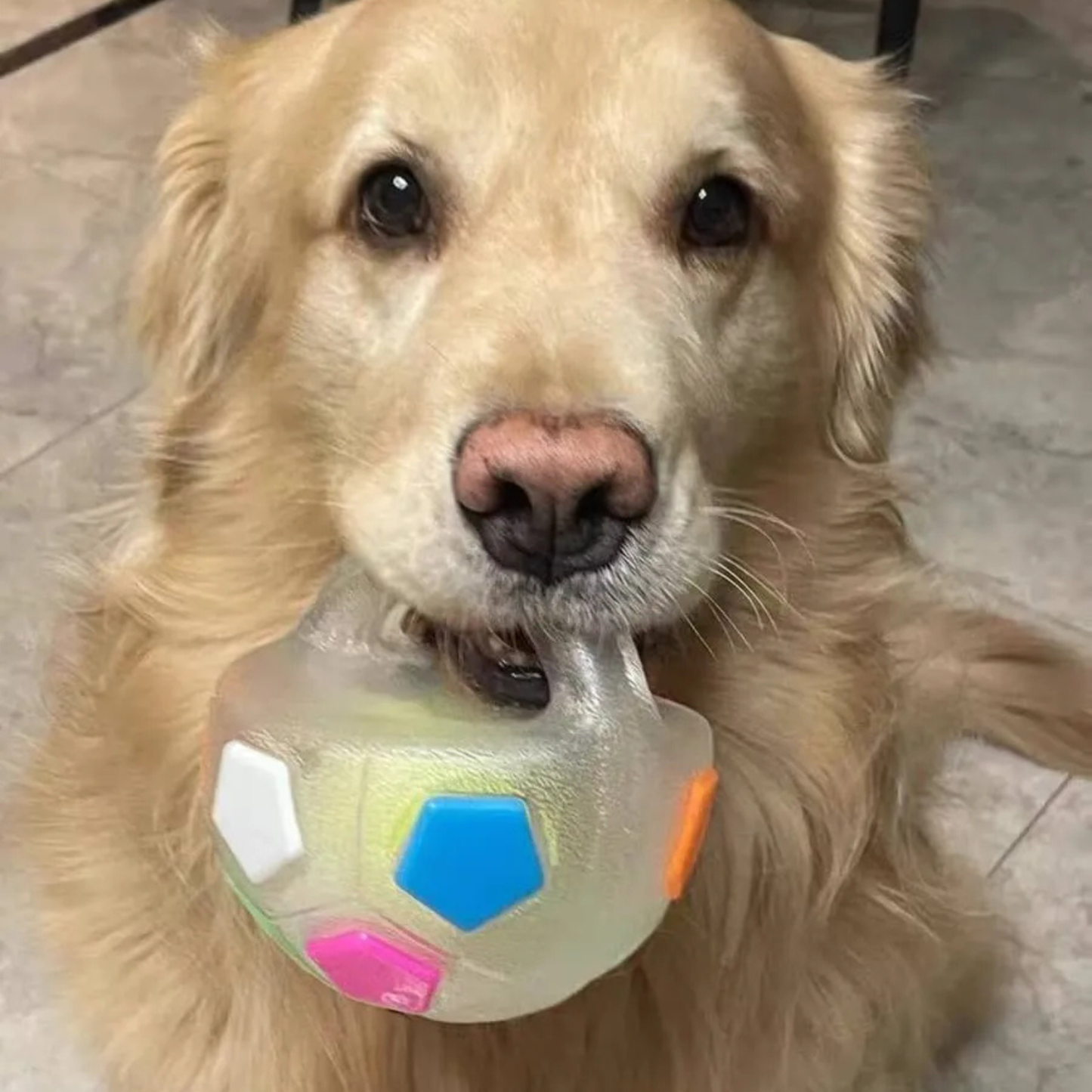 Omrava™ Durable Soccer Toy – Bouncy, Bite-Resistant & Fun