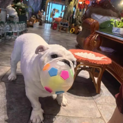 Omrava™ Durable Soccer Toy – Bouncy, Bite-Resistant & Fun