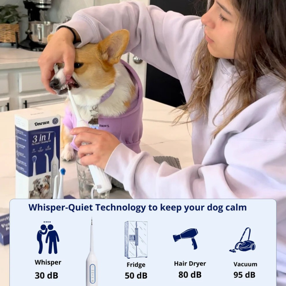 Omrava Kit - Silent Sonic Plaque & Tartar Remover for dogs