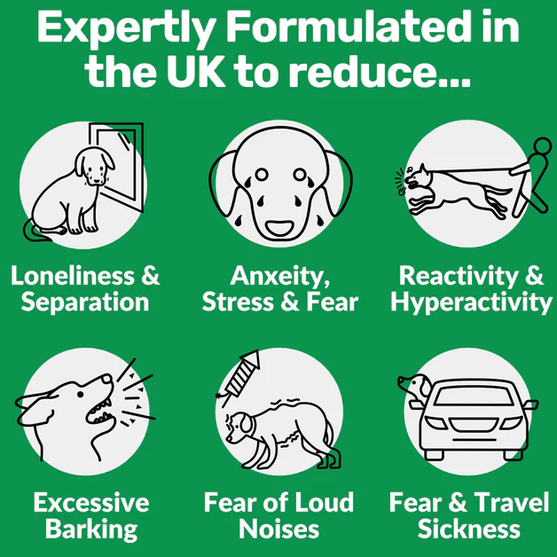 120 tasty calming treats for stress, anxiety & fear