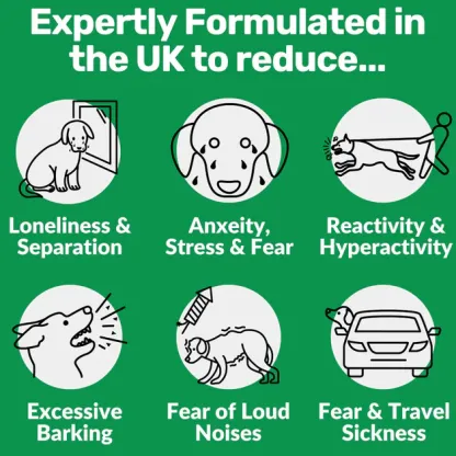 120 tasty calming treats for stress, anxiety & fear