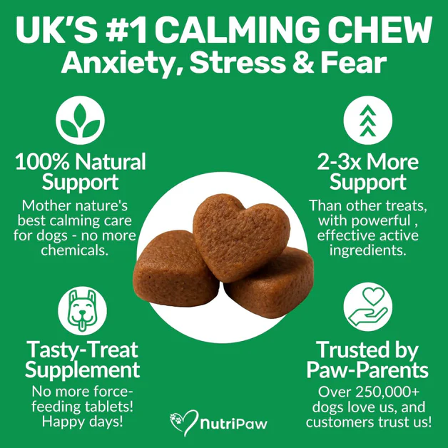 120 tasty calming treats for stress, anxiety & fear